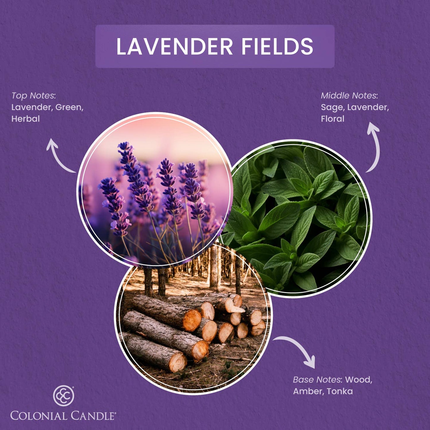 Signature Oval Lavender Fields, 2 Wick, 8oz