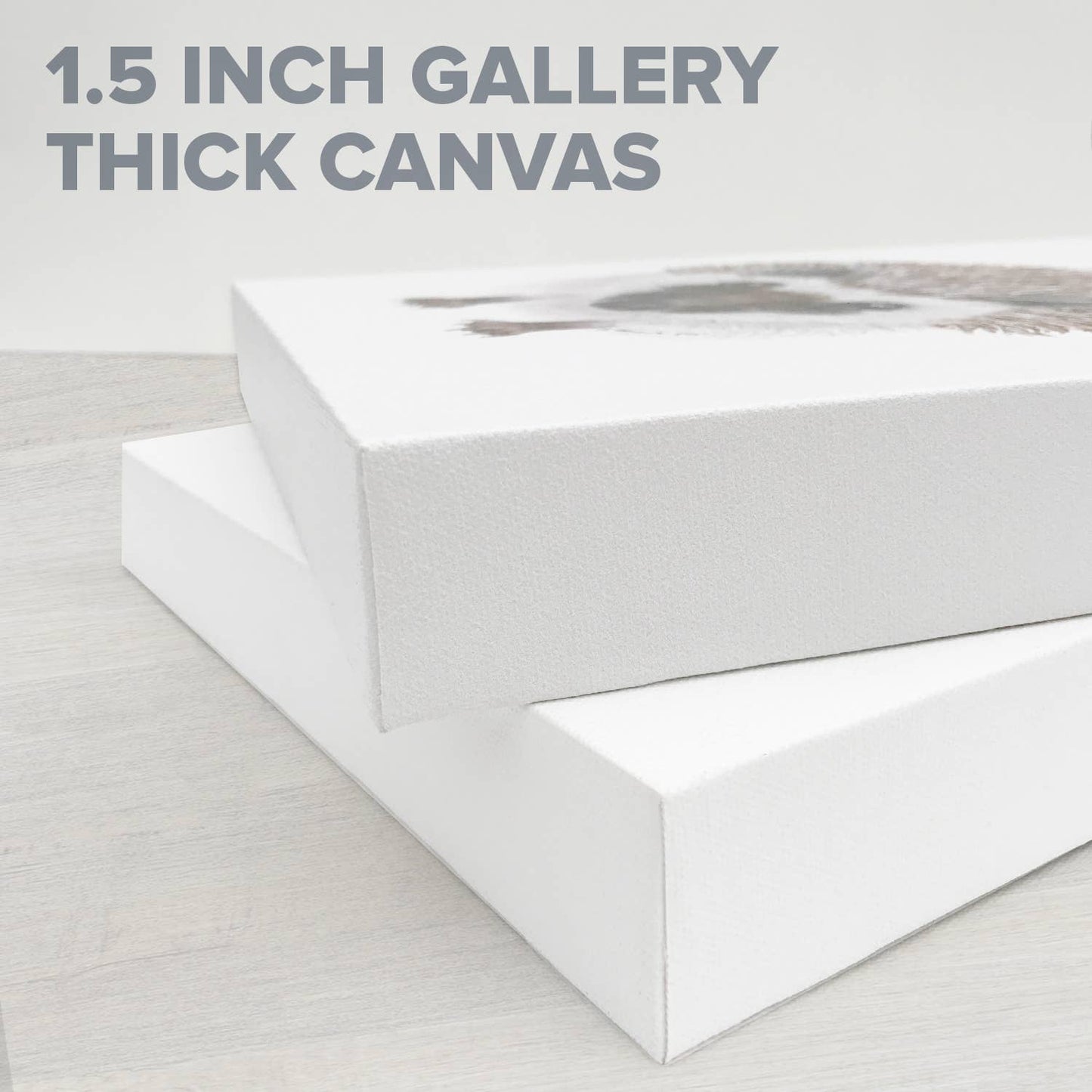 She is Fierce - Francis Stretched Canvas