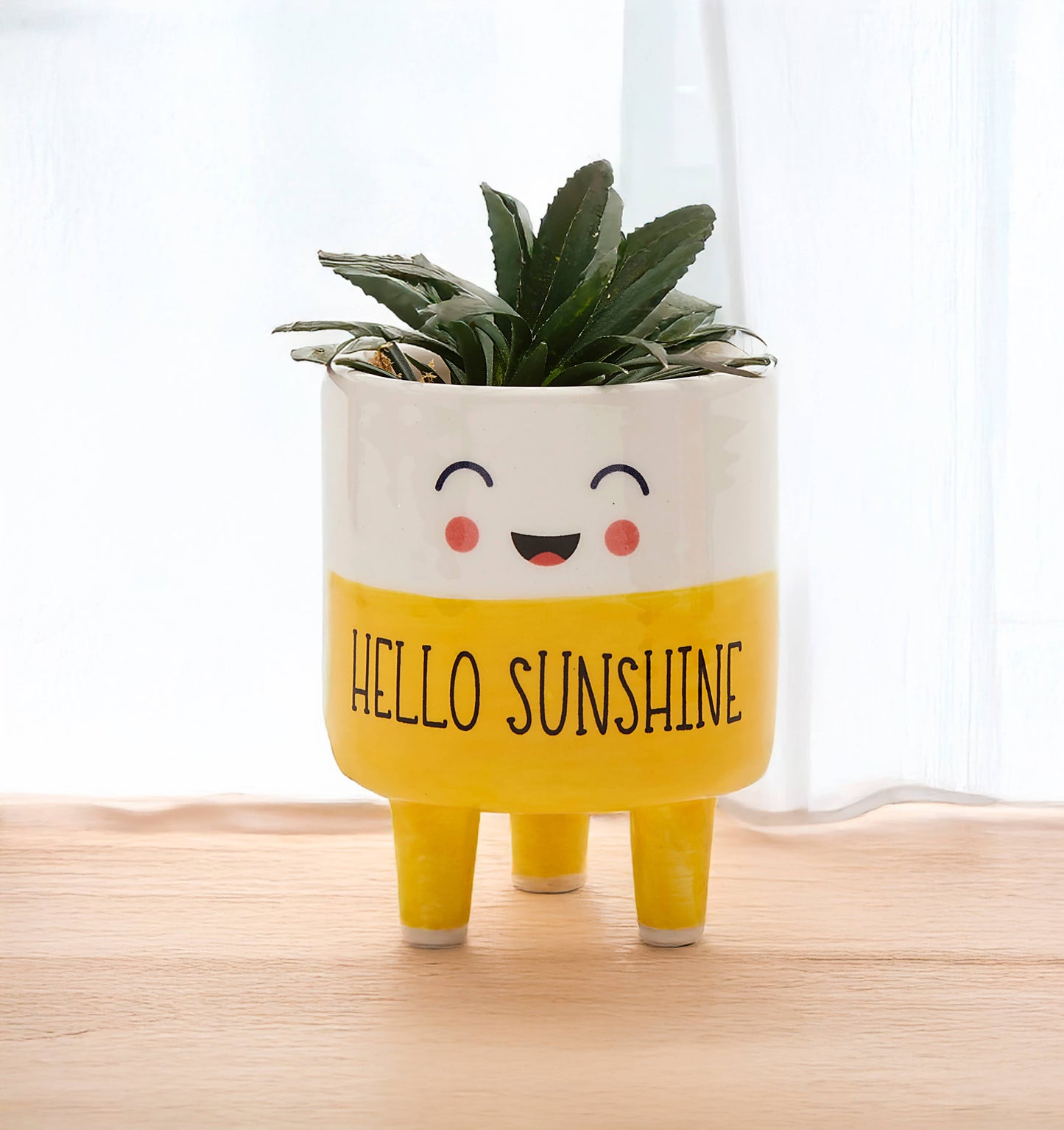 Sentiment Mini Planters, 6 Asst.
