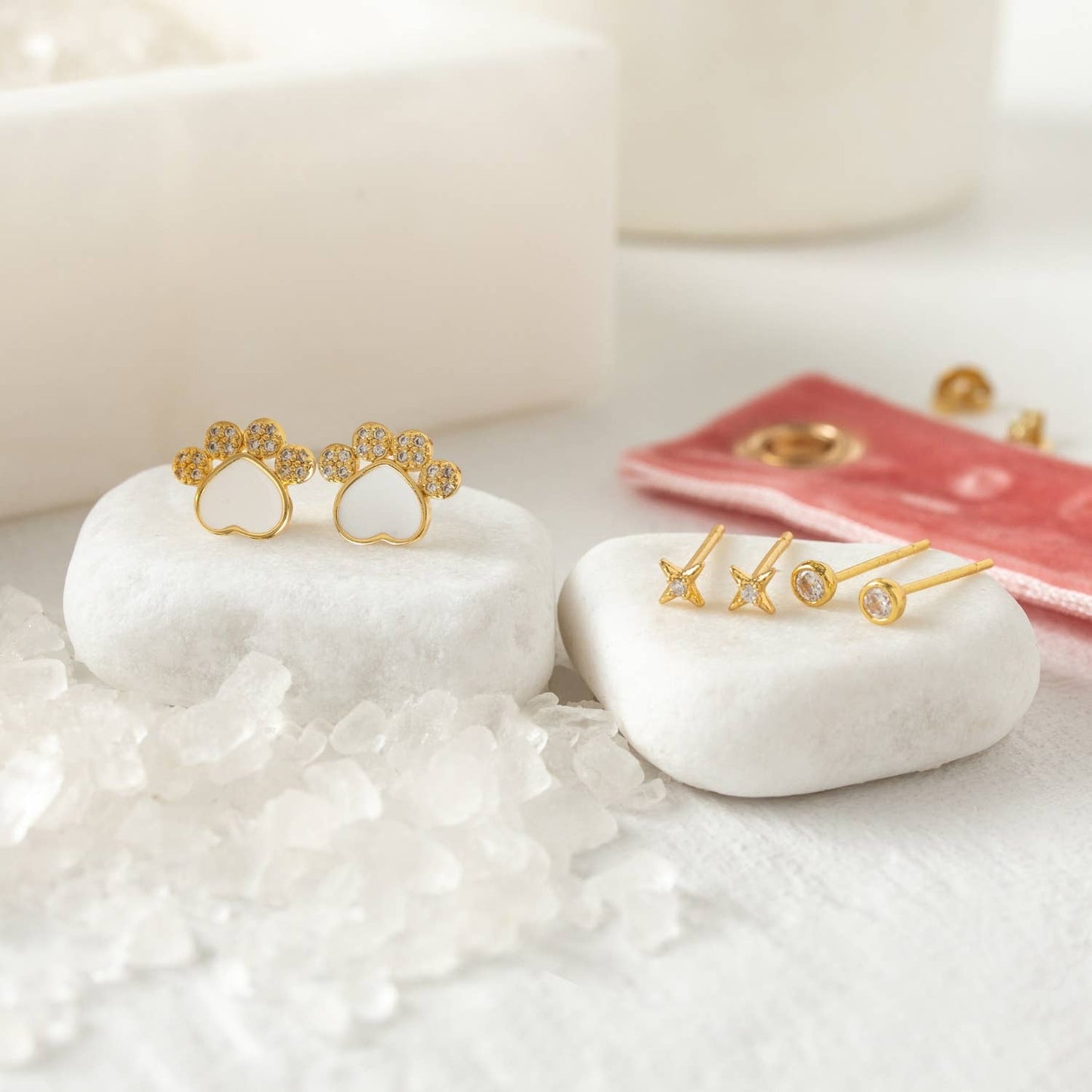 Paw Velvet Stud Gift Set