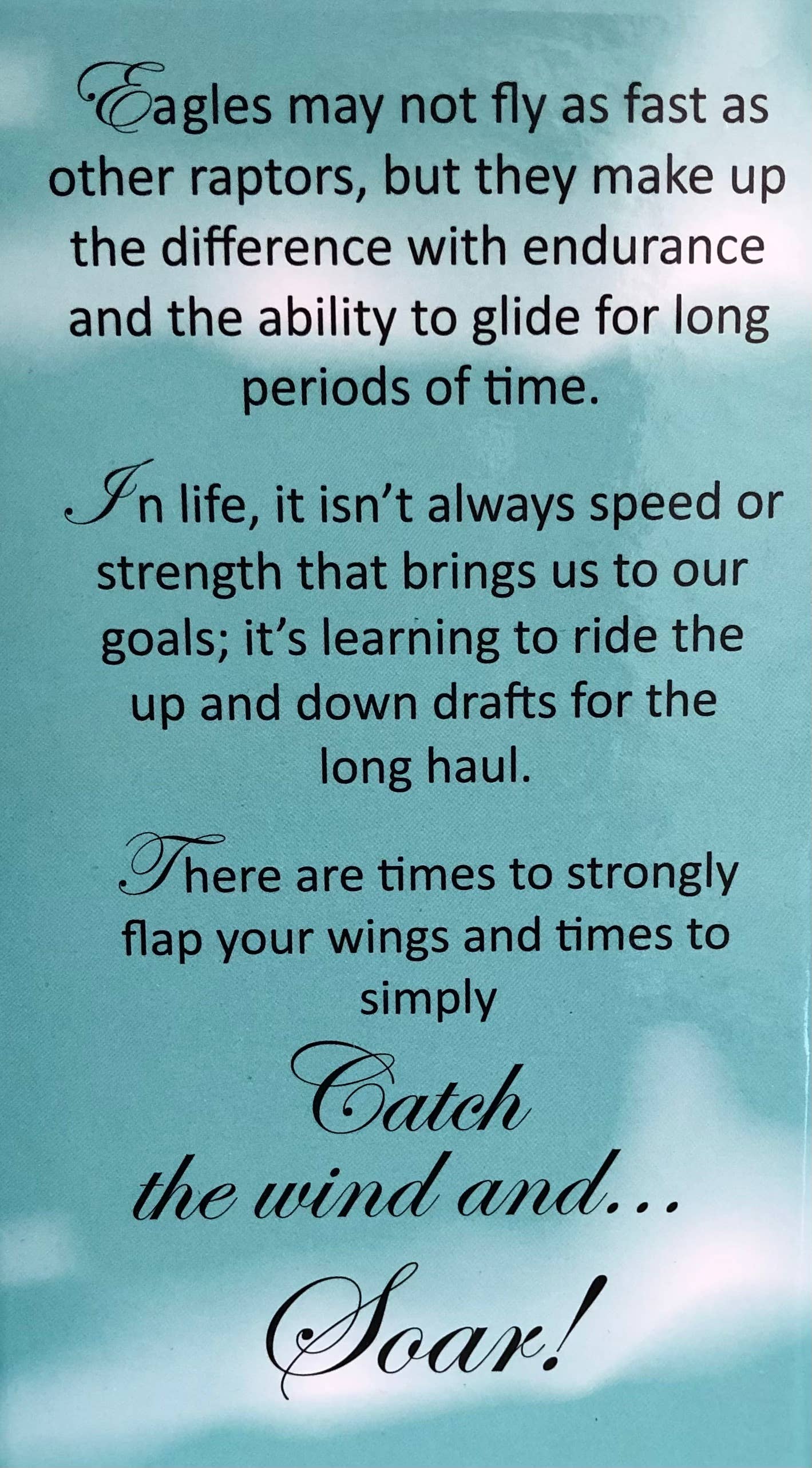 Eagle Feather Jewelry Necklace in BOX