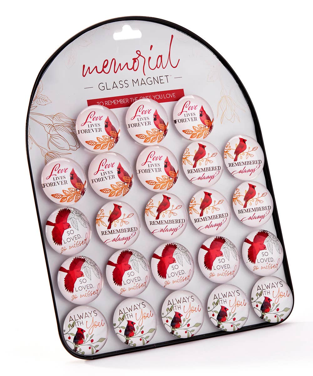 Gls.Magnets,4Ast.48Pcs/PDQ