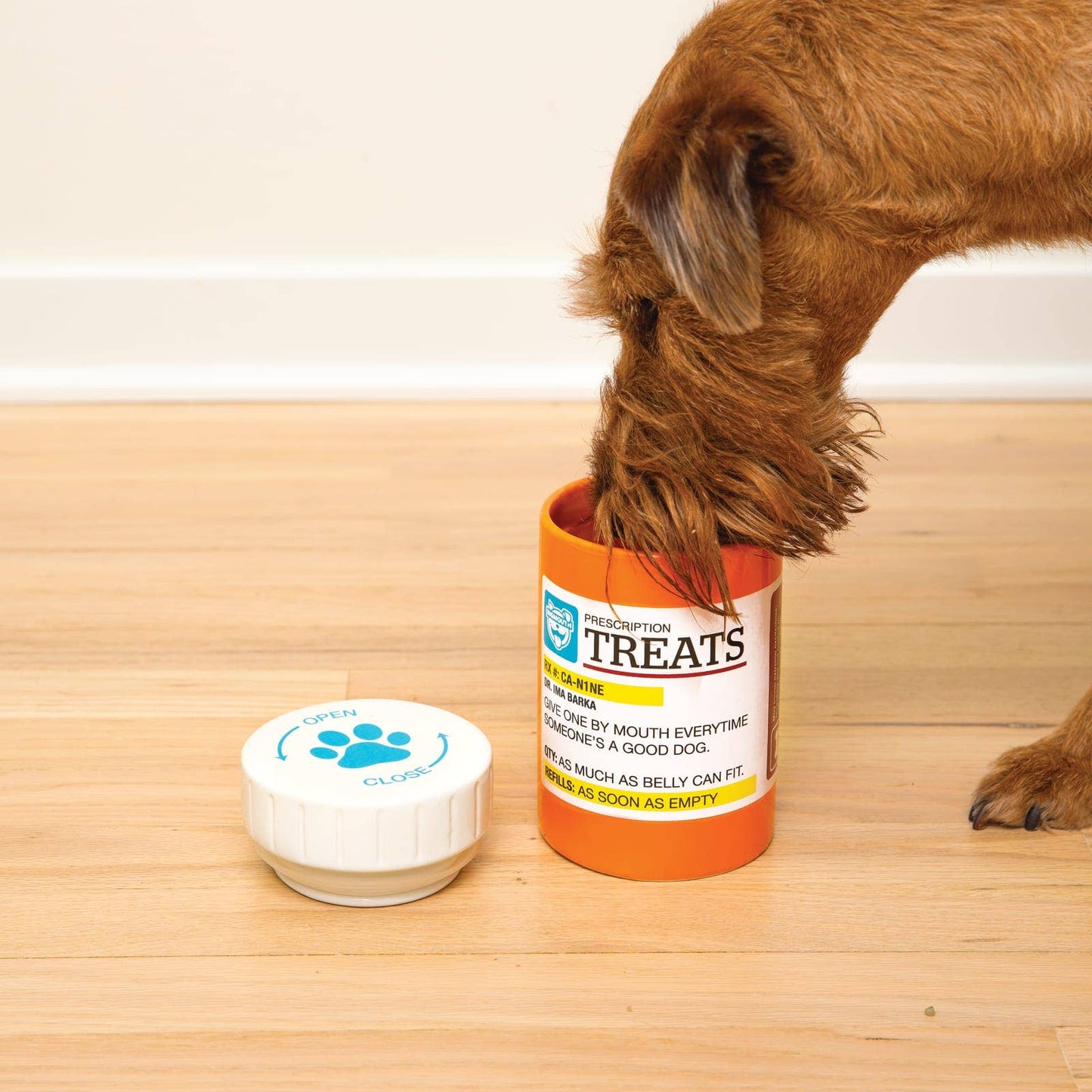 BigMouth Pets "Prescription" Treat Jar