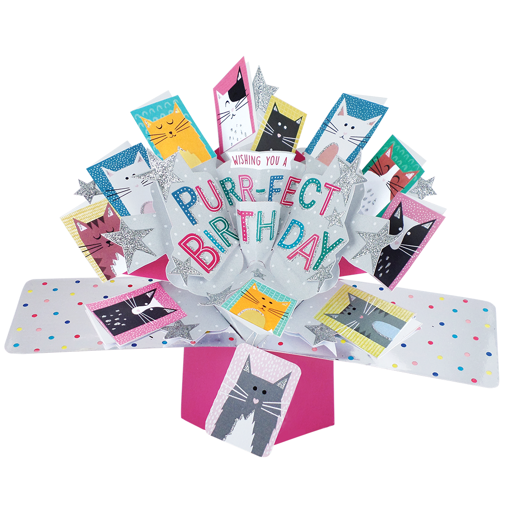 Purr-Fect Birthday