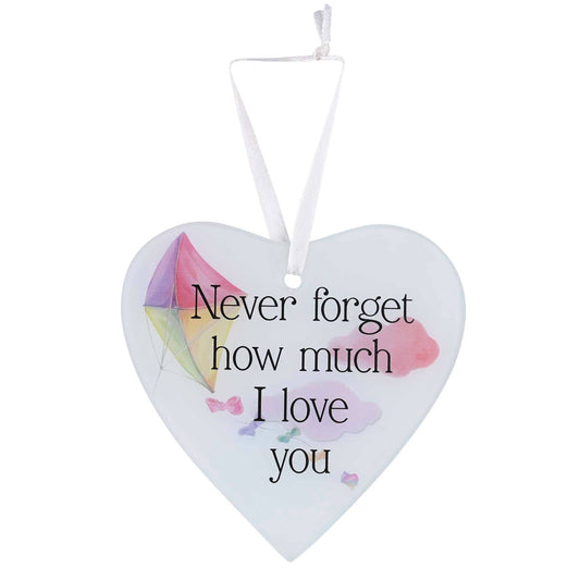 Glass Ornament Never Forget How Much I