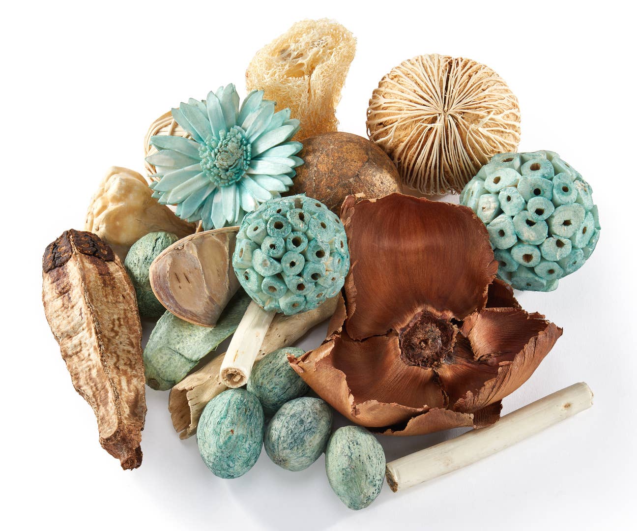 Dried Vase & Bowl Fillers - Teal & Cream