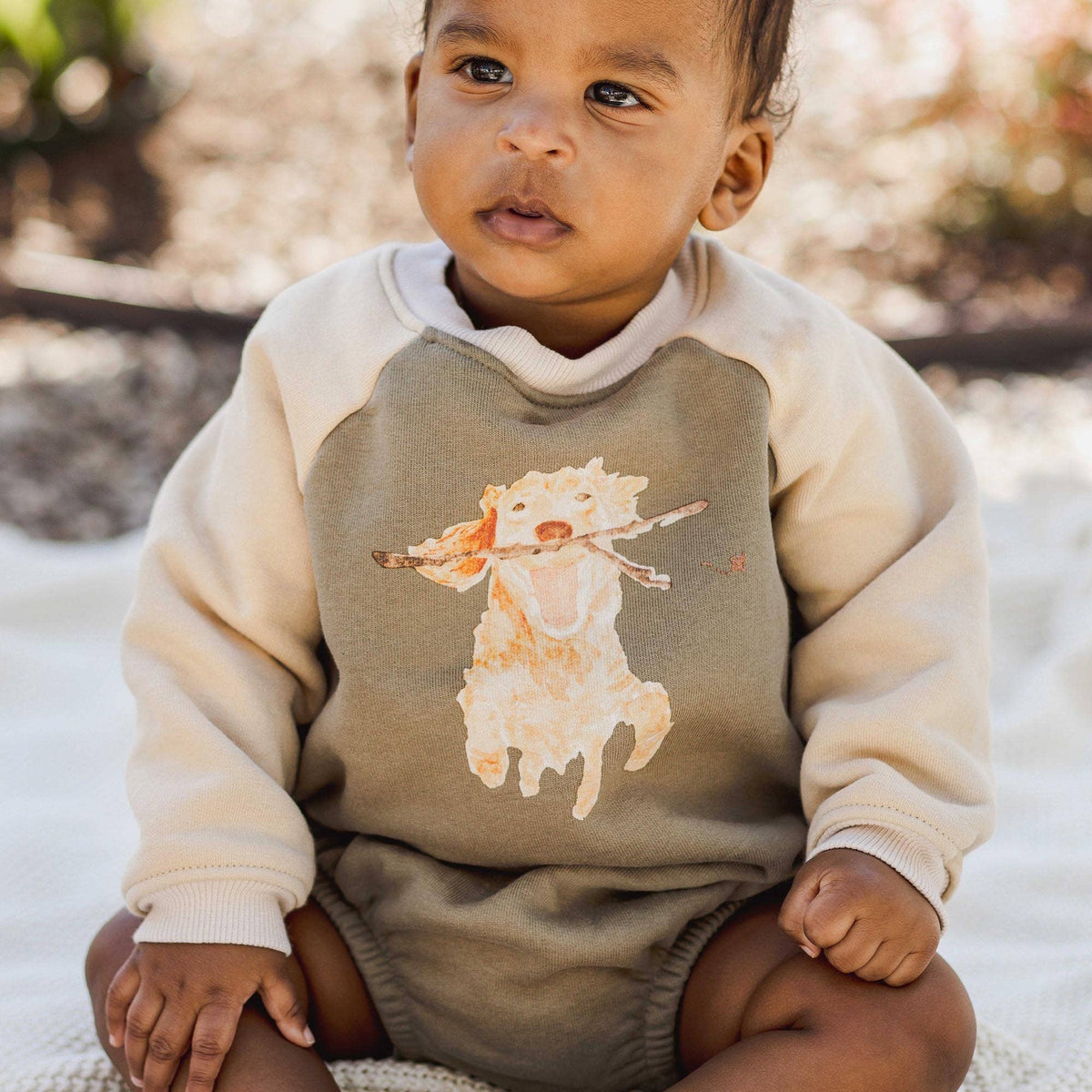 Golden Retriever Baby Boy Sweatshirt Bodysuit
