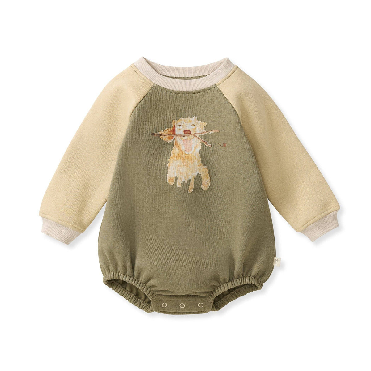 Golden Retriever Baby Boy Sweatshirt Bodysuit