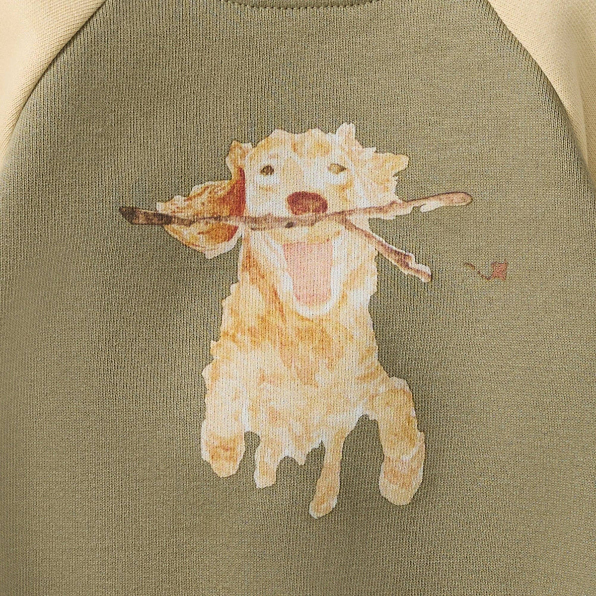 Golden Retriever Baby Boy Sweatshirt Bodysuit