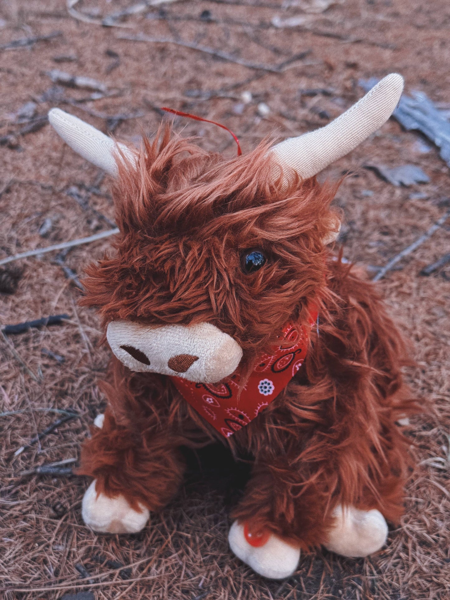 Highland Cow with Moo Sound 10"