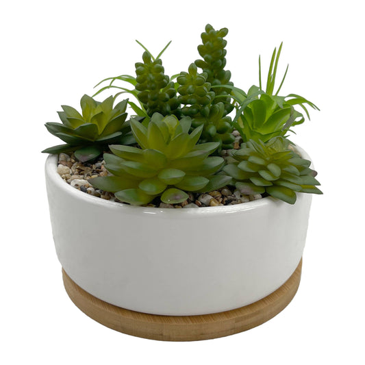 Faux Succulents In White Planter w/ Wood Base