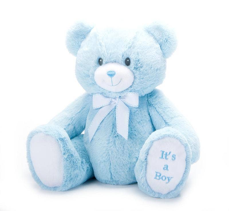 Everyday Bently Bear Blue & Display Box 12" (28cm)