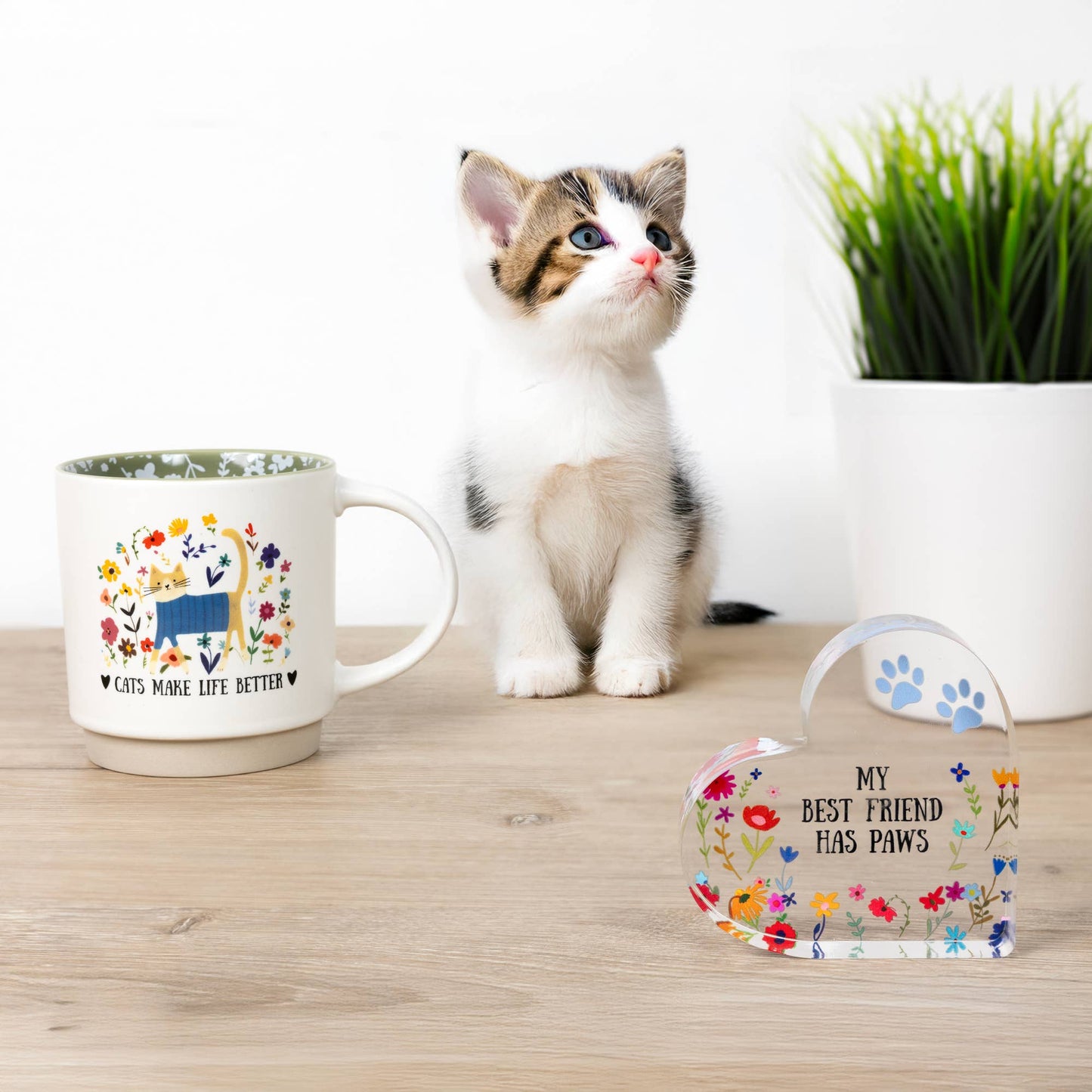 Cats - 18 oz Mug