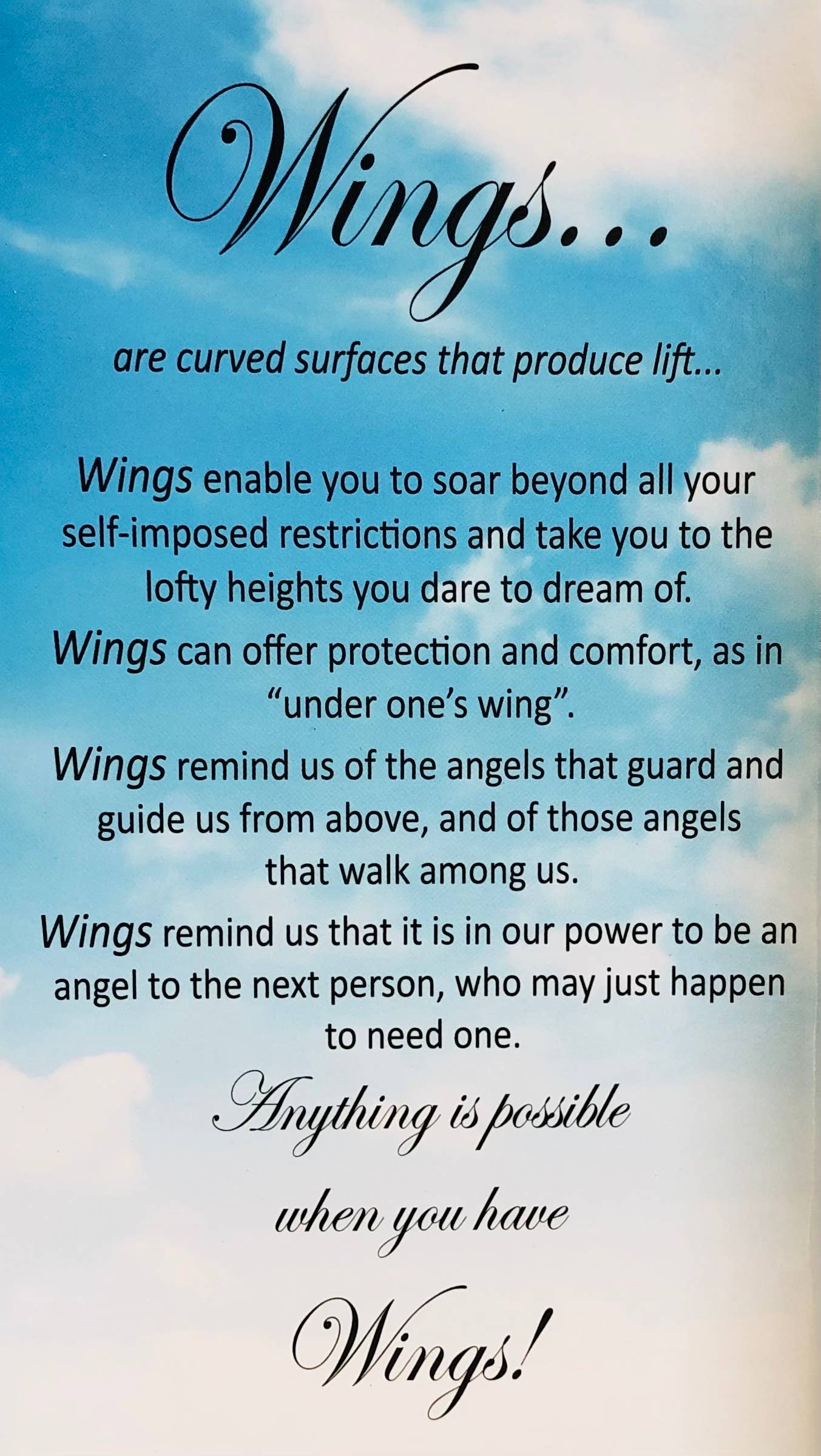 Angel Wings Necklace Two Tone in BOX/Jewelry