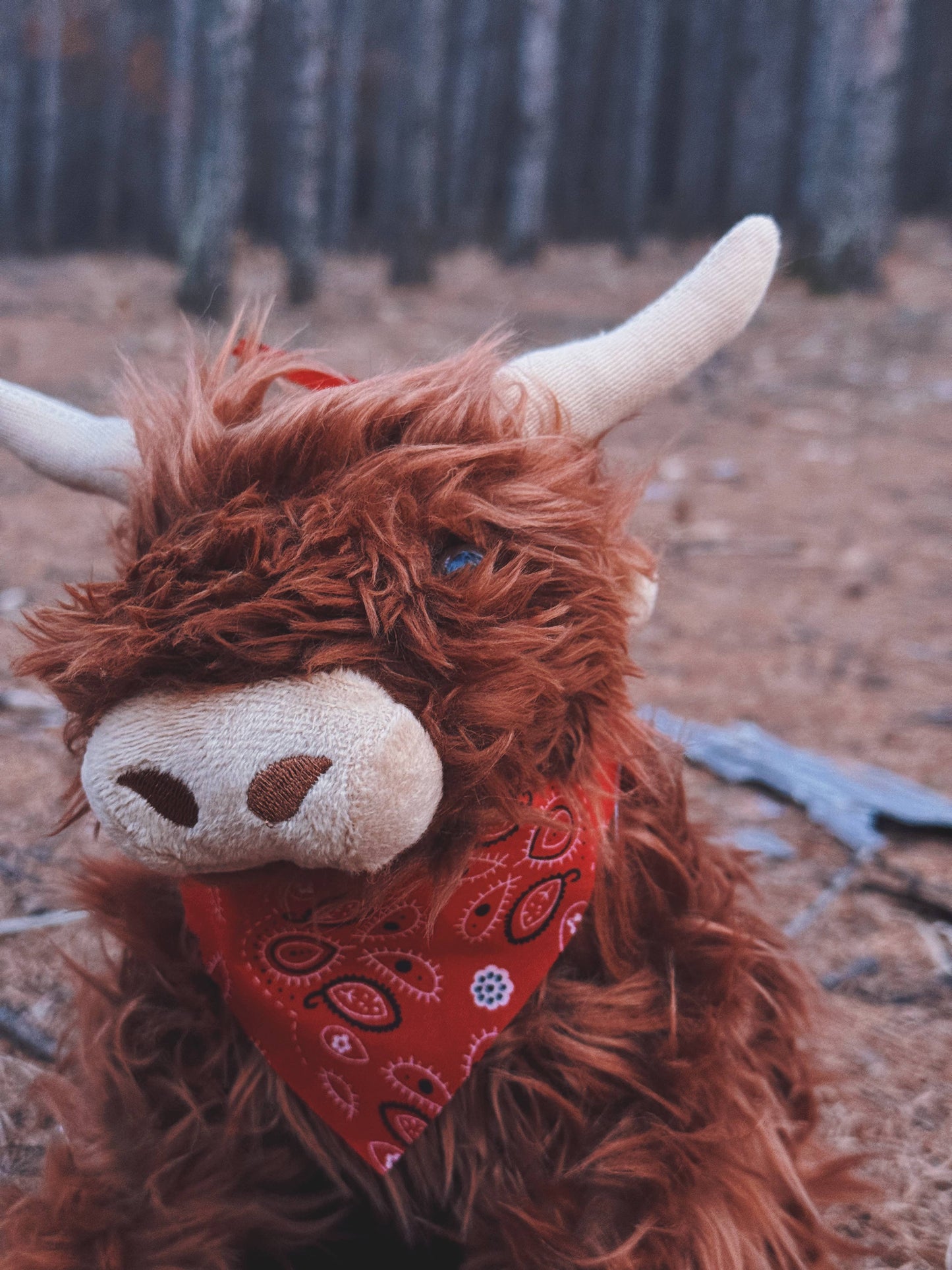Highland Cow with Moo Sound 10"