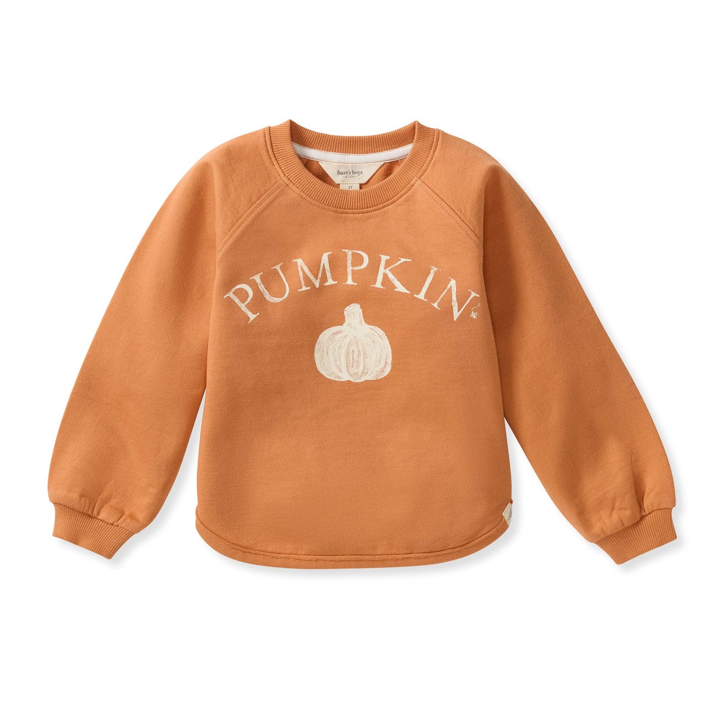 Pumpkin Caramel Apple Sweatshirt
