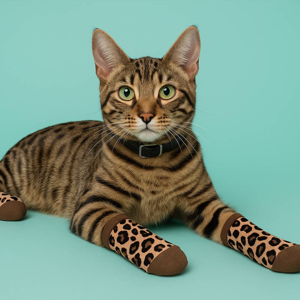 Matching Pet And Owner Fun Socks - Leopard