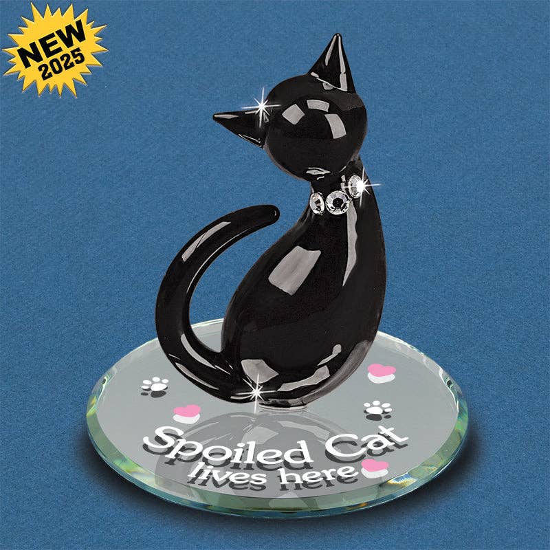 S2 214-SC: Spoiled Cat