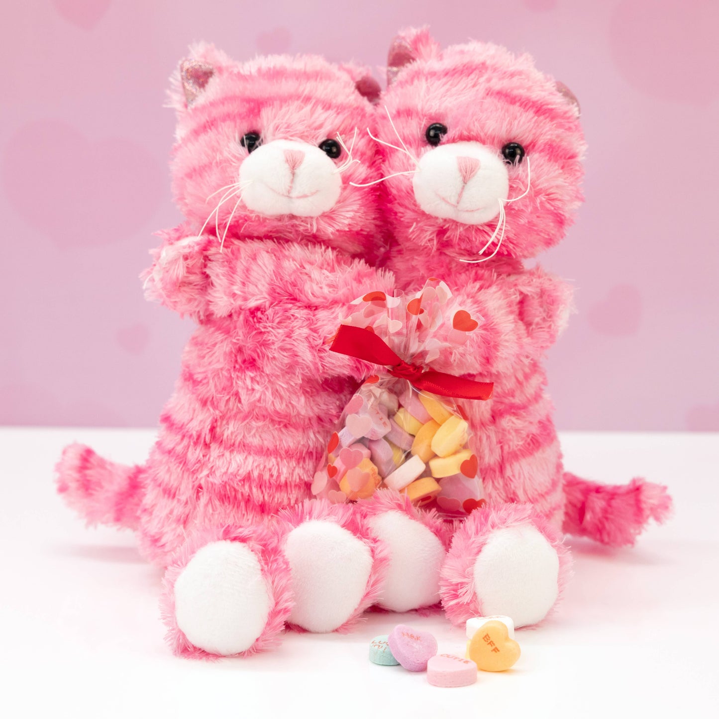 Hugging Kitties Plush with Conversation Heart Candy (case)