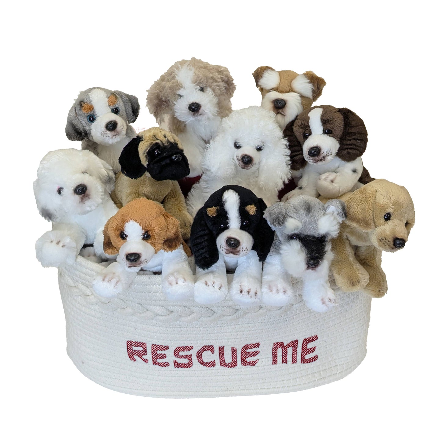 5IN DOG GOLDEN DOODLE-LEO