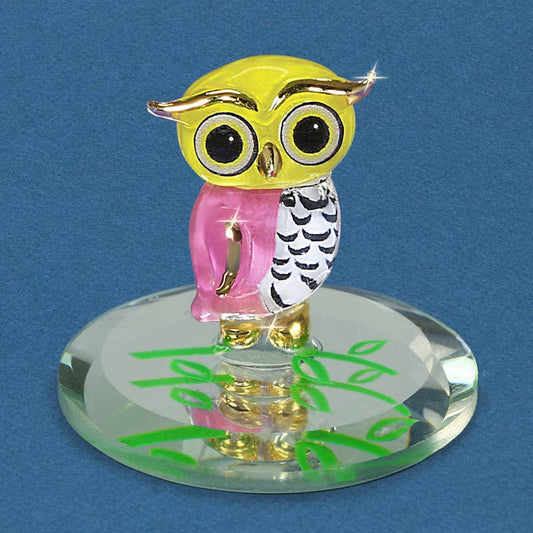 S1 354: Owlet