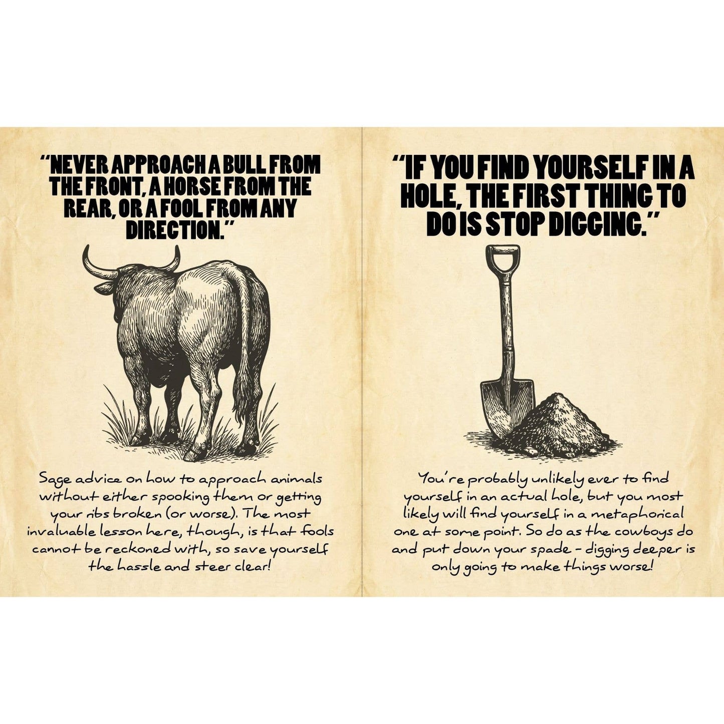 Cowboy Wisdom Gift Book: Wild West Solutions