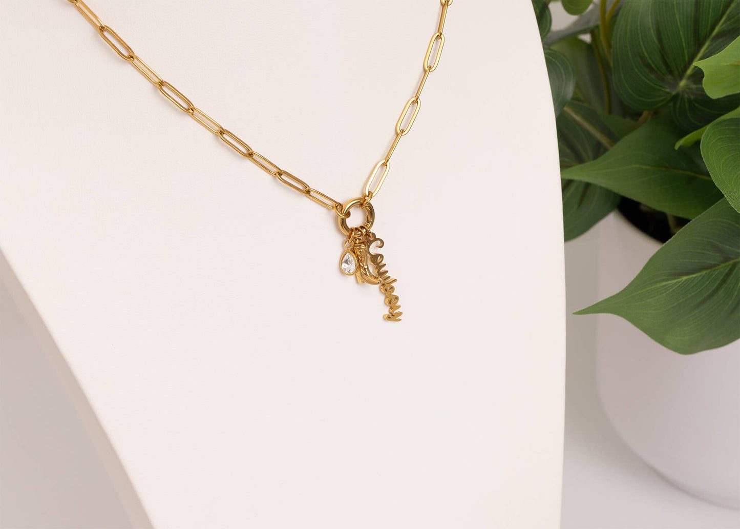 Gold Stainless Steel Cowboy Charm Holder Necklace Gift Set