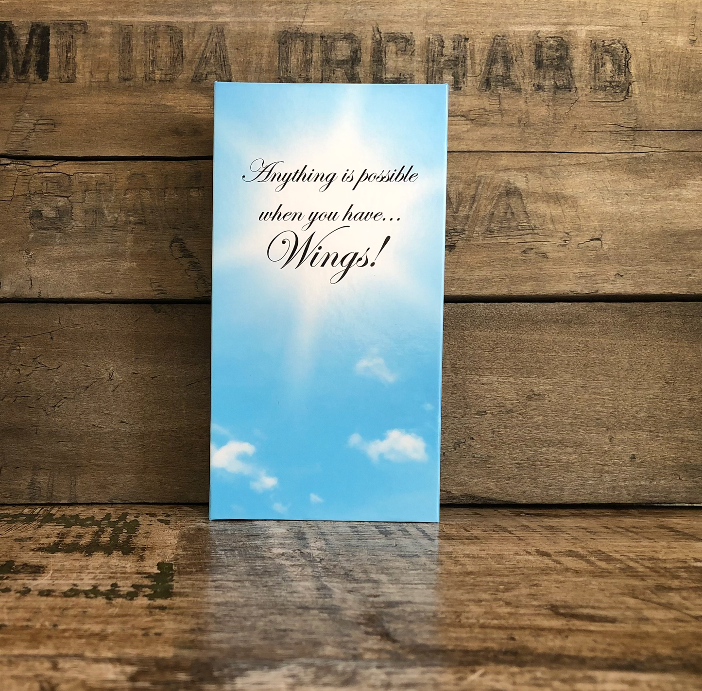 Angel Wings Necklace Two Tone in BOX/Jewelry