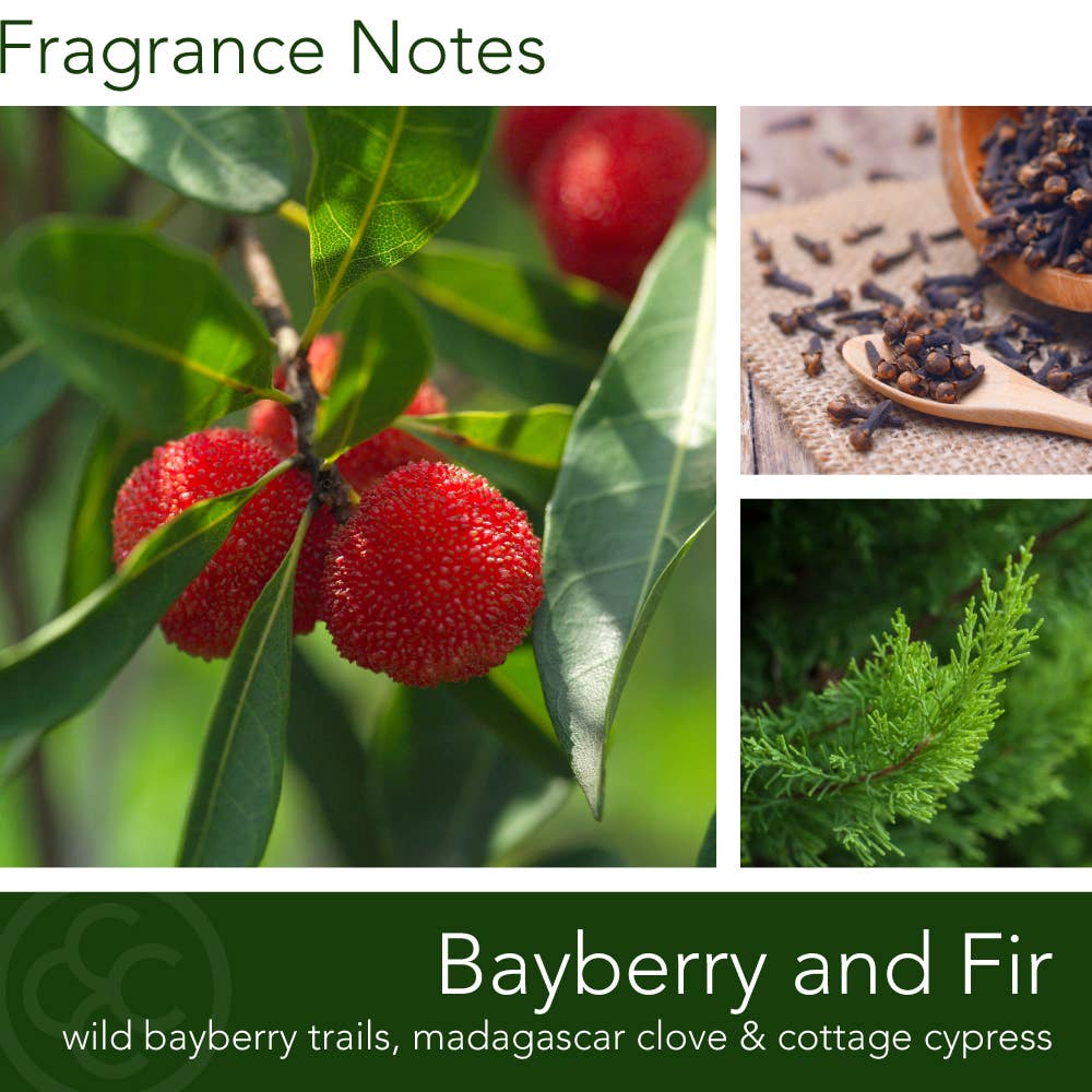 M Baker Bayberry & Fir Scented Candle, Soy Blend, 14oz