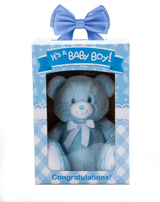Everyday Bently Bear Blue & Display Box 12" (28cm)