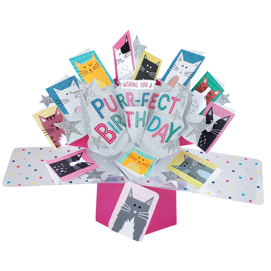 Purr-Fect Birthday