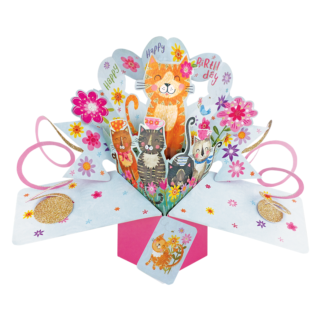Second Nature Pop Up Happy Birthday - Cats